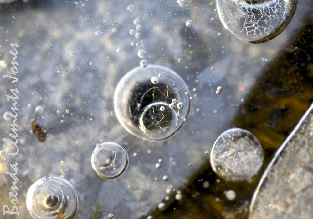 Mother Nature’s Art