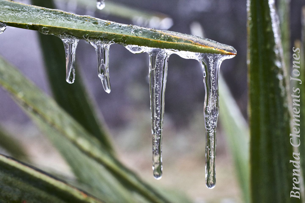 An Escape From The Heat